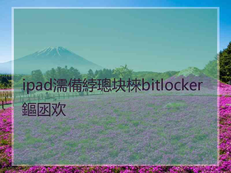 ipad濡備綍璁块棶bitlocker鏂囦欢