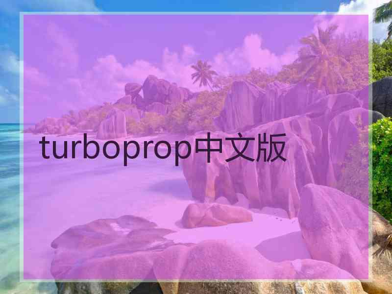 turboprop中文版