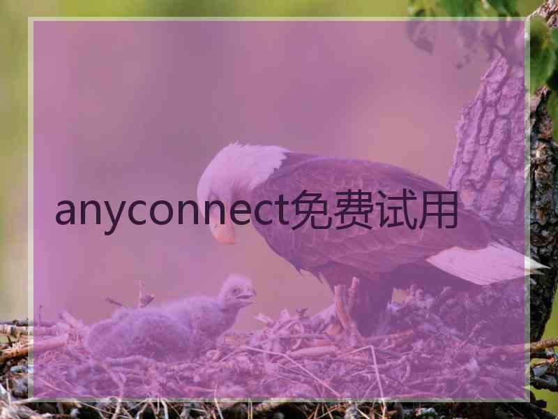 anyconnect免费试用