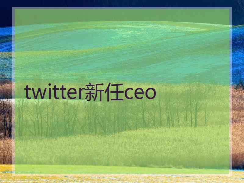 twitter新任ceo