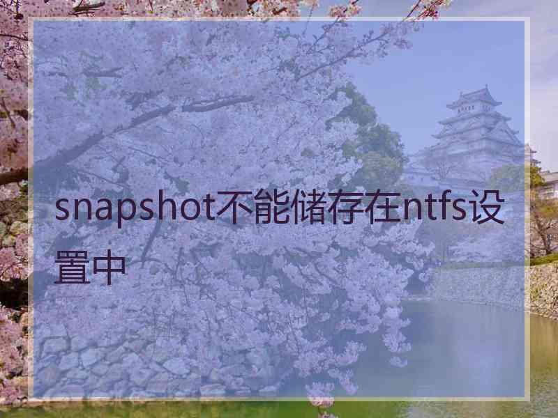 snapshot不能储存在ntfs设置中