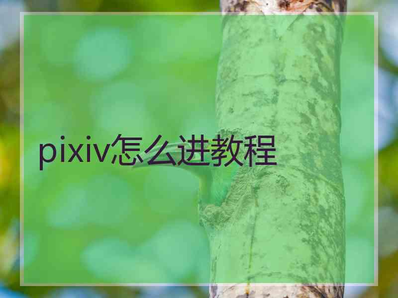 pixiv怎么进教程