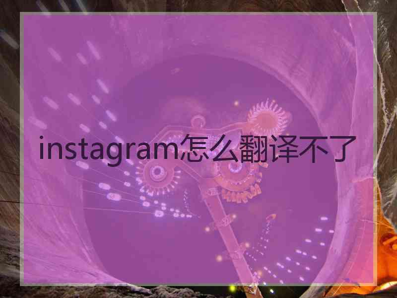 instagram怎么翻译不了