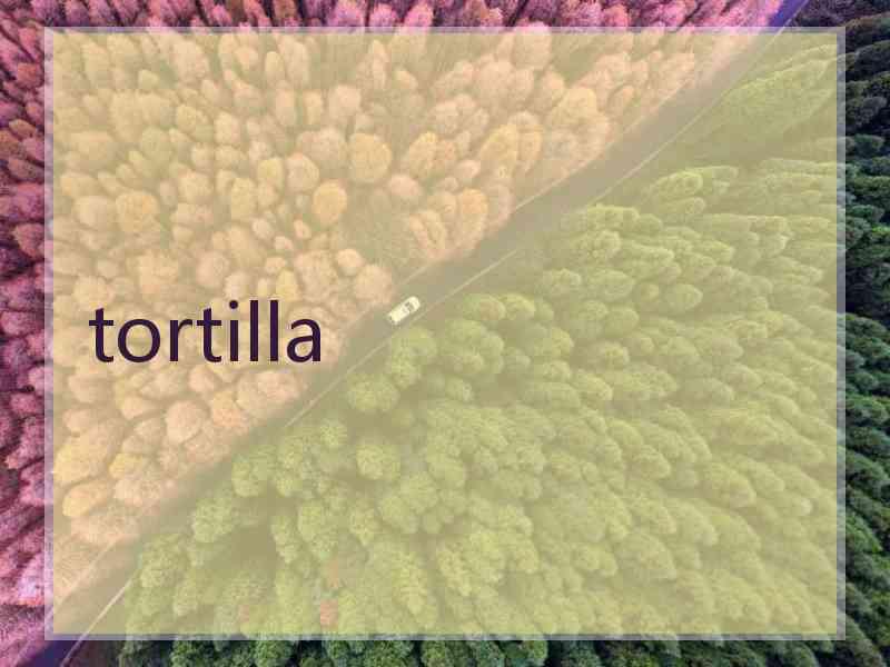 tortilla