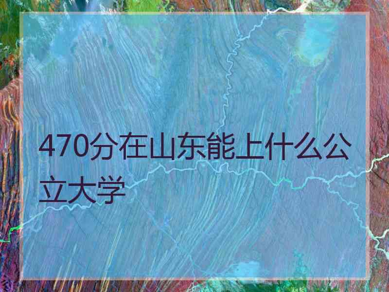 470分在山东能上什么公立大学