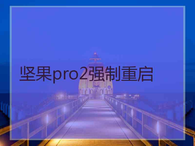 坚果pro2强制重启