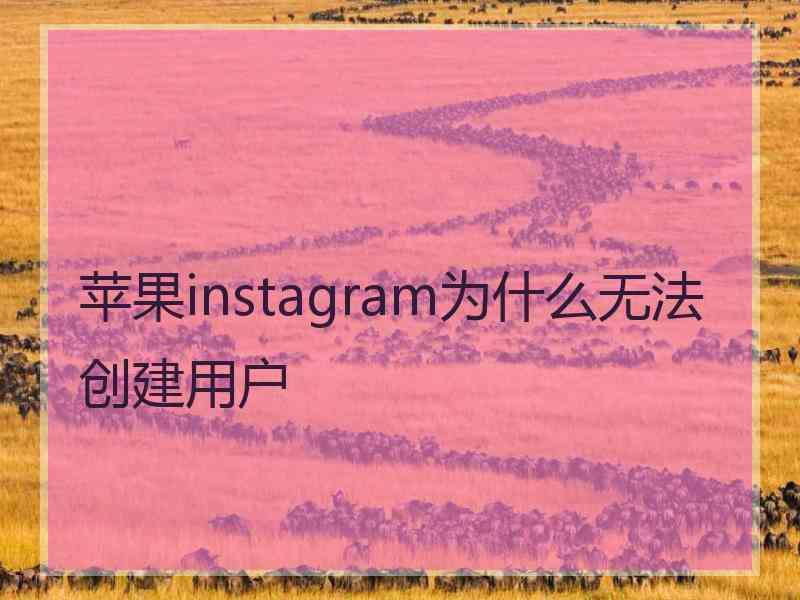 苹果instagram为什么无法创建用户