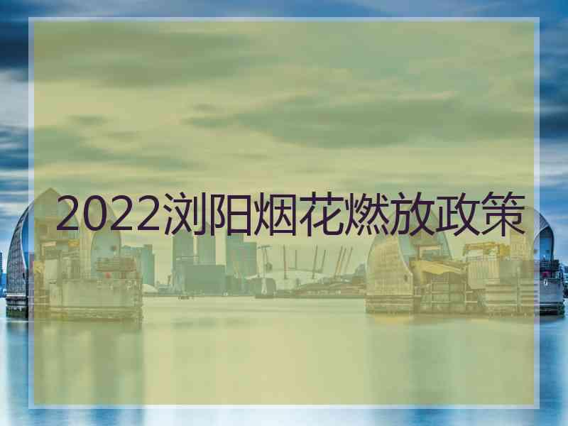 2022浏阳烟花燃放政策