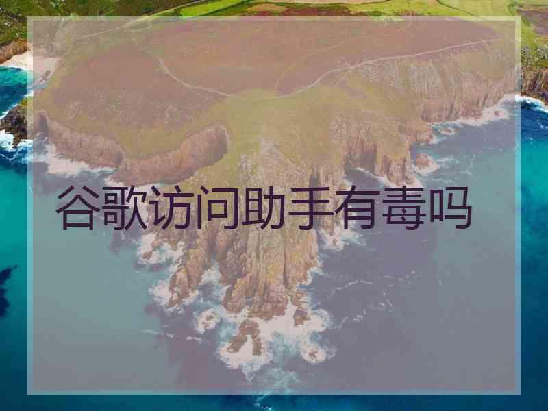 谷歌访问助手有毒吗