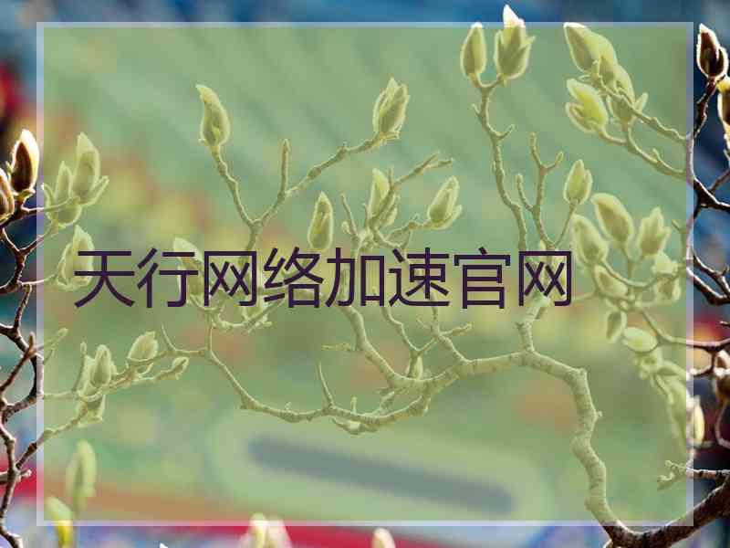 天行网络加速官网