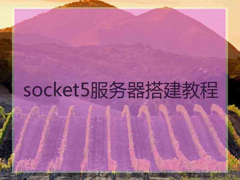 socket5服务器搭建教程