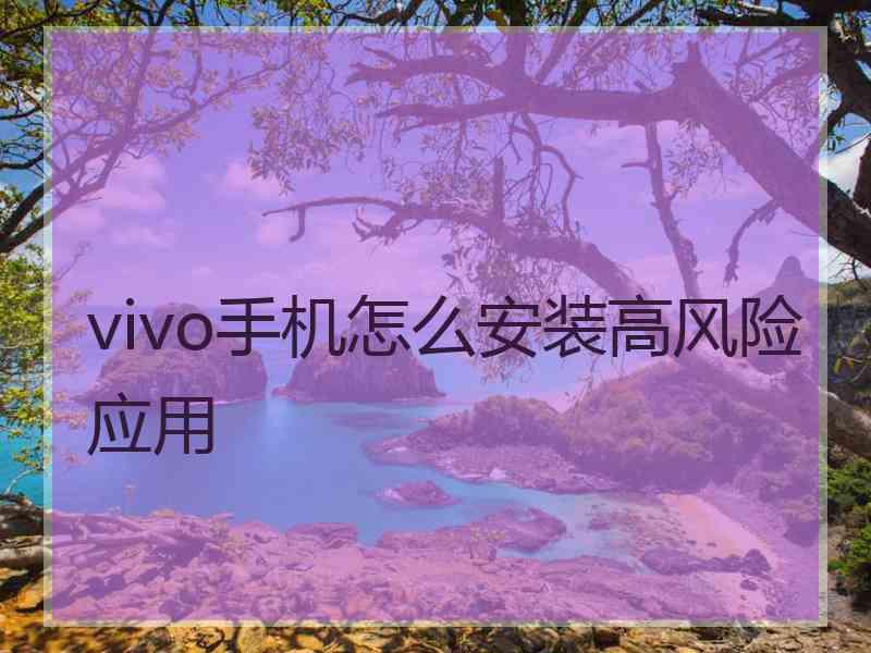 vivo手机怎么安装高风险应用