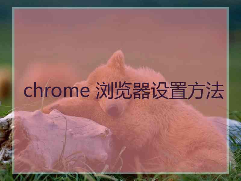 chrome 浏览器设置方法