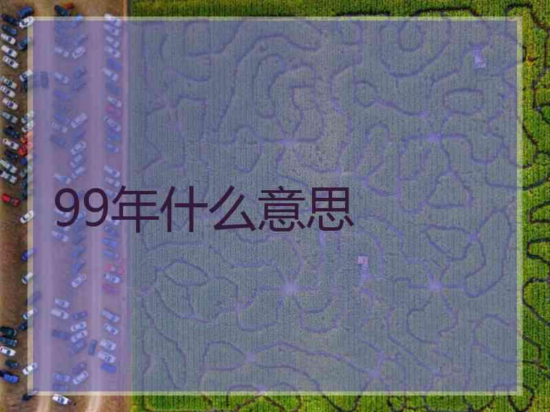 99年什么意思