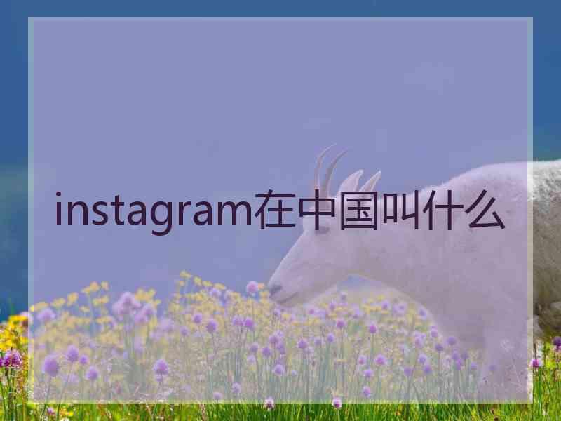 instagram在中国叫什么