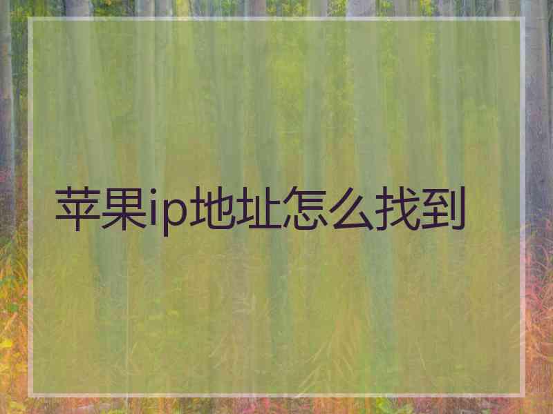 苹果ip地址怎么找到