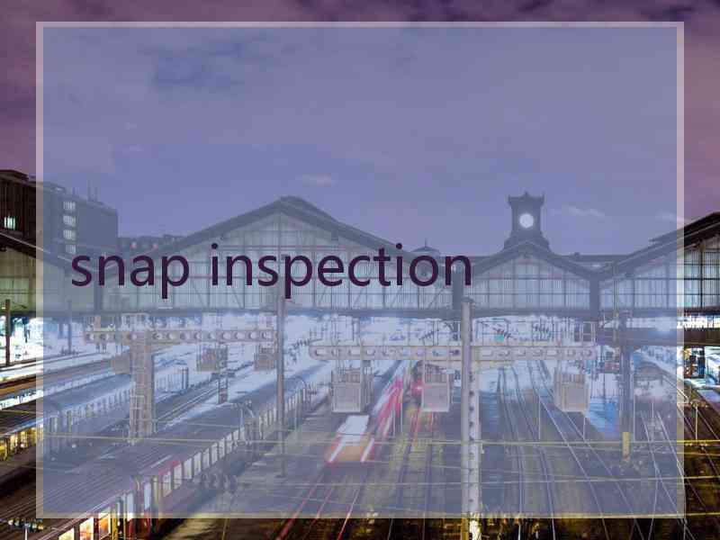 snap inspection