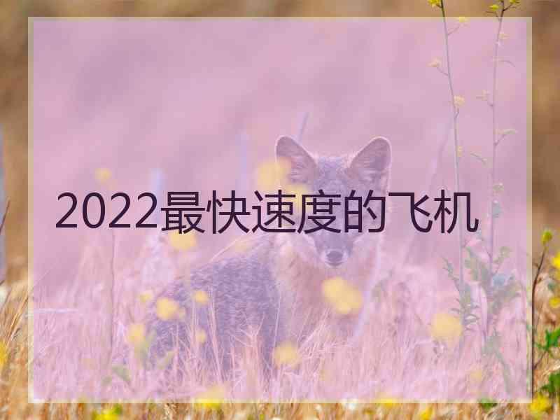 2022最快速度的飞机