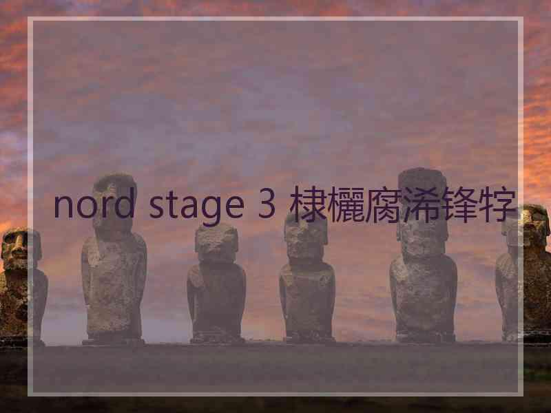 nord stage 3 棣欐腐浠锋牸