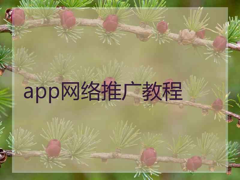 app网络推广教程