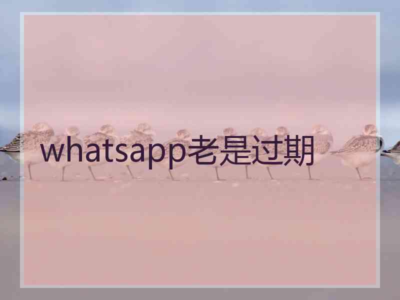 whatsapp老是过期