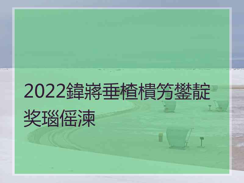 2022鍏嶈垂楂樻竻鐢靛奖瑙傜湅