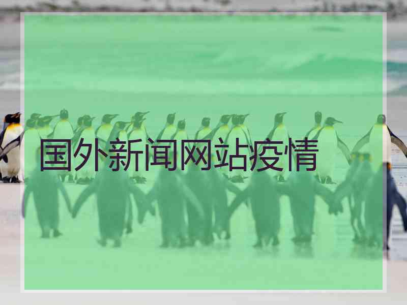 国外新闻网站疫情