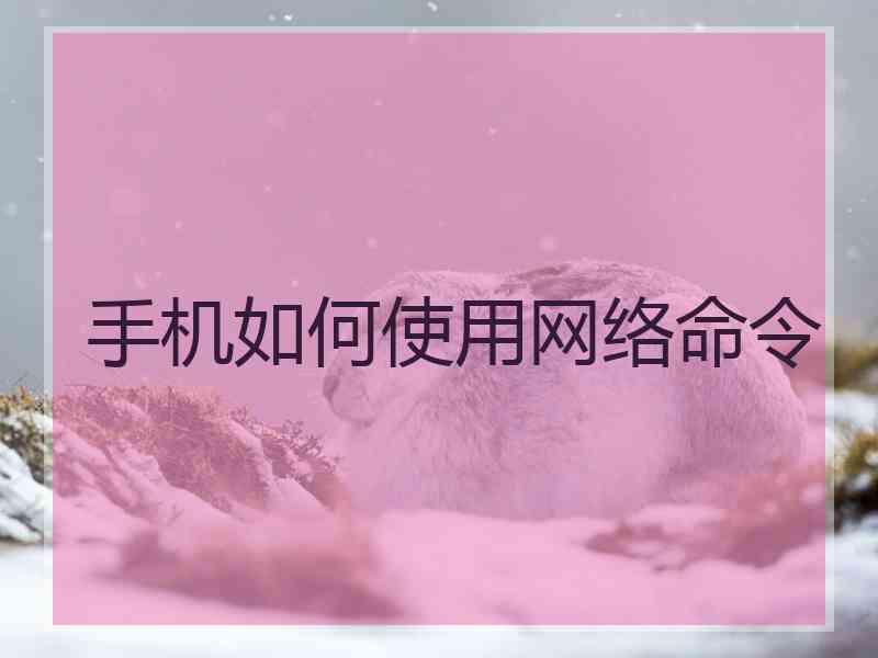 手机如何使用网络命令