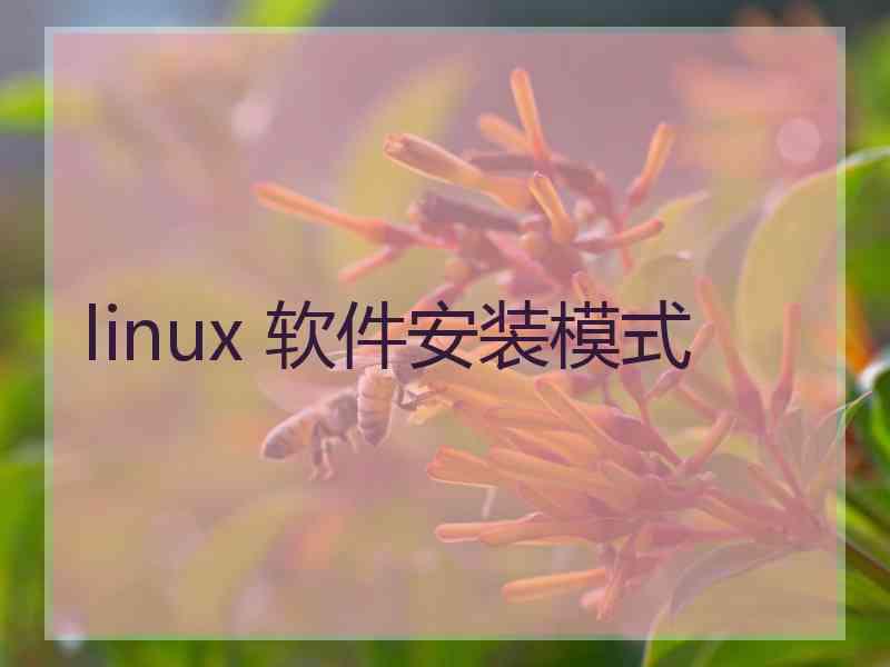 linux 软件安装模式