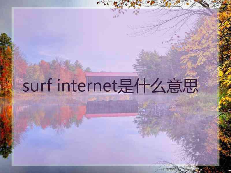 surf internet是什么意思