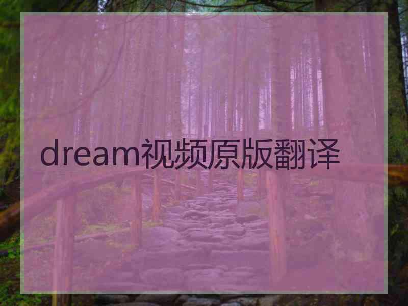 dream视频原版翻译