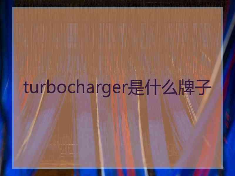 turbocharger是什么牌子