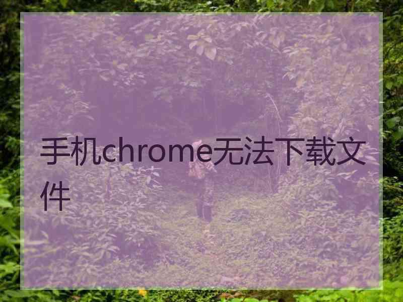 手机chrome无法下载文件