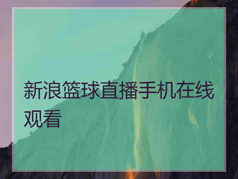 新浪篮球直播手机在线观看