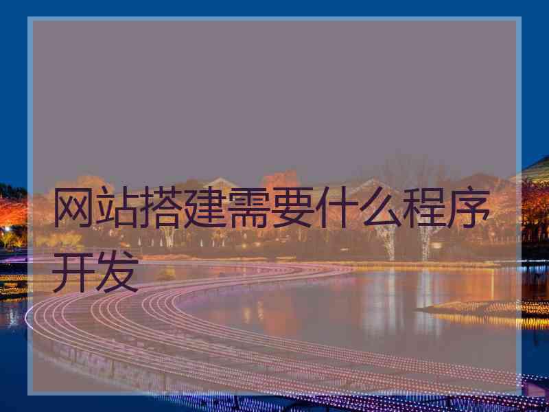 网站搭建需要什么程序开发