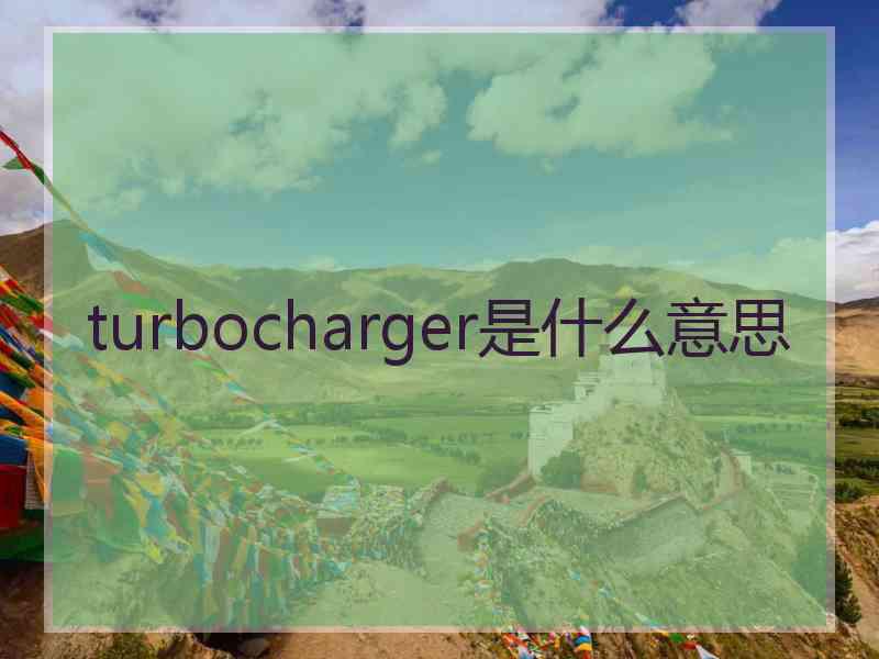 turbocharger是什么意思