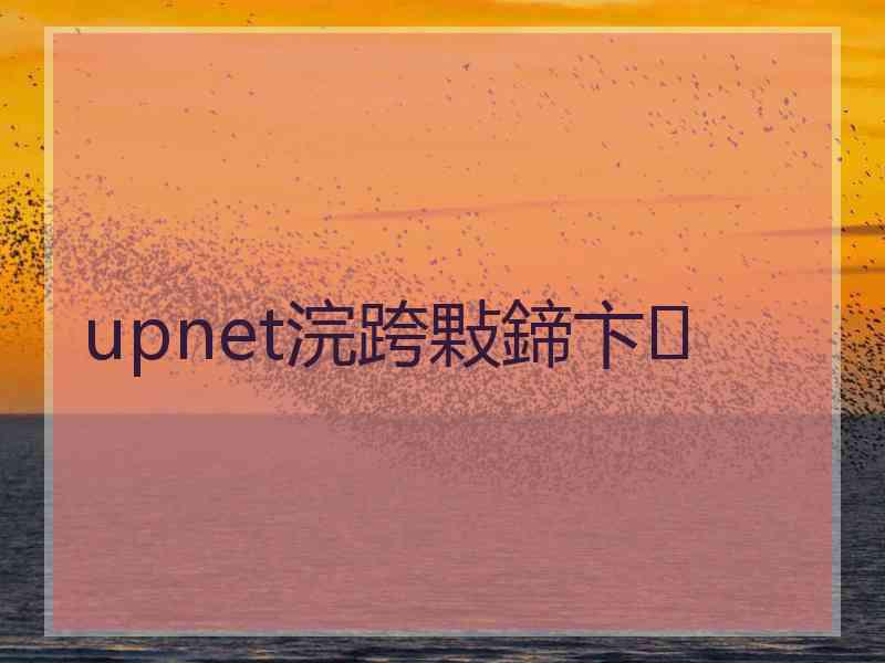 upnet浣跨敤鍗卞