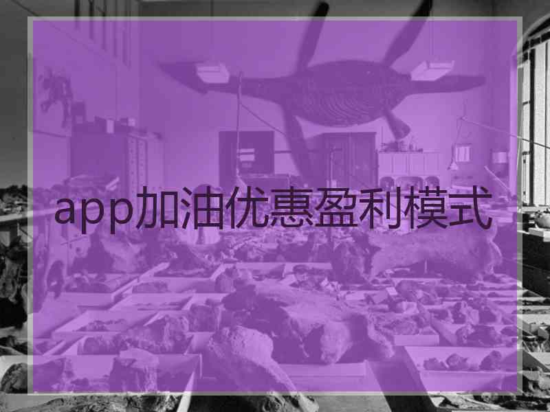 app加油优惠盈利模式