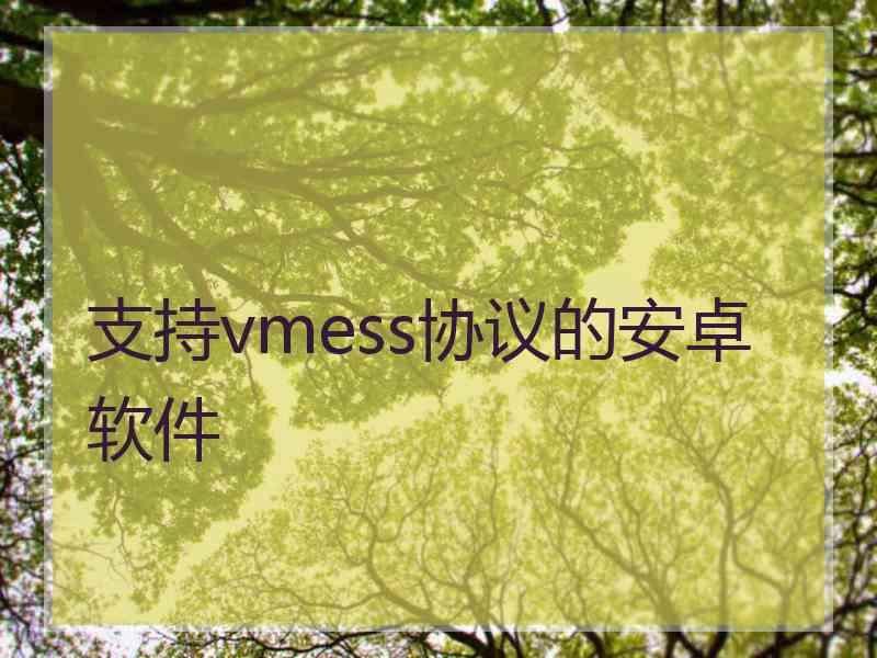 支持vmess协议的安卓软件