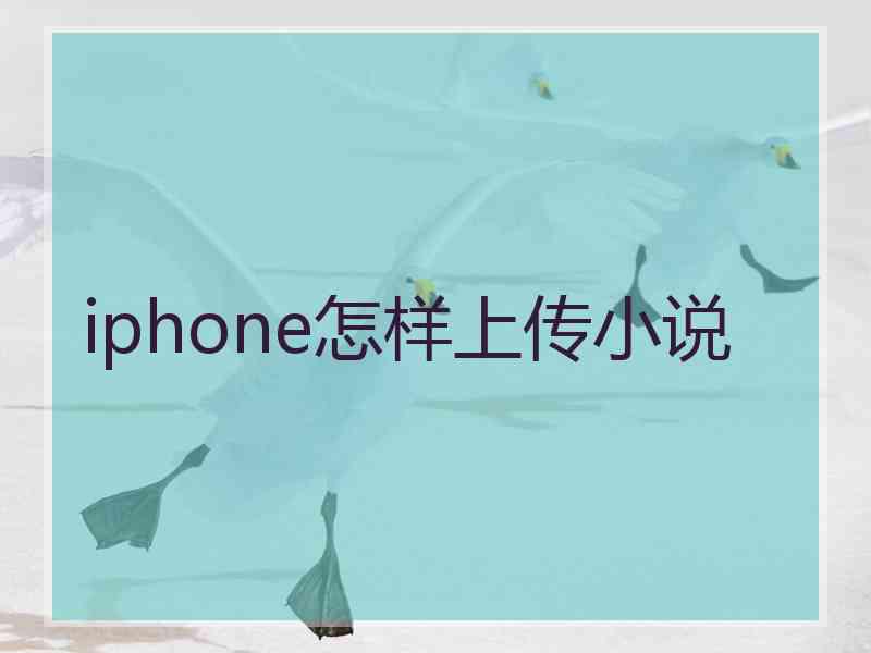 iphone怎样上传小说