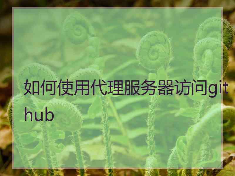 如何使用代理服务器访问github