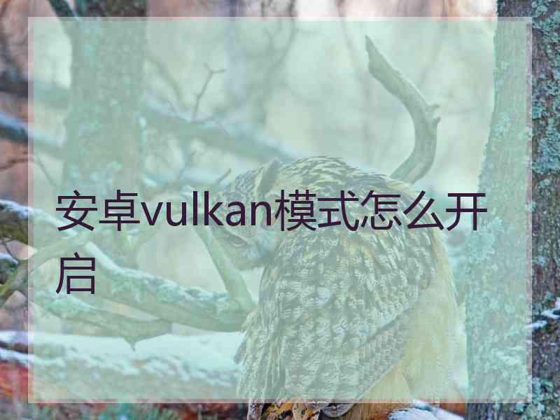 安卓vulkan模式怎么开启