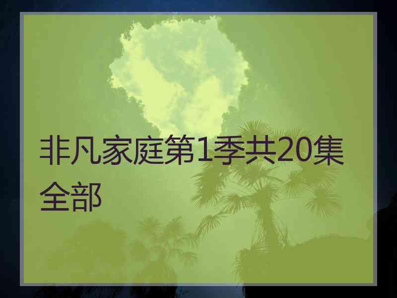 非凡家庭第1季共20集全部