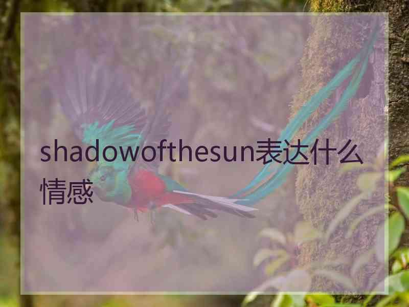 shadowofthesun表达什么情感