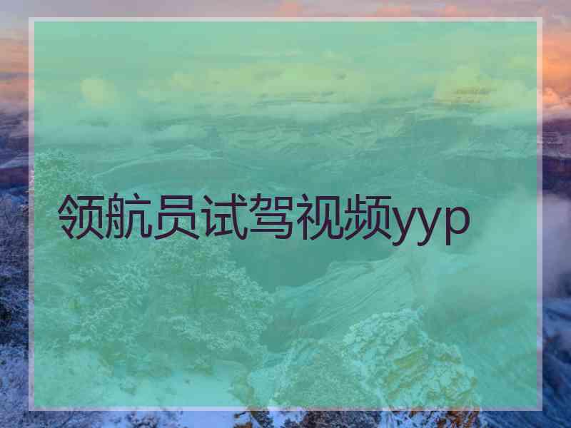 领航员试驾视频yyp