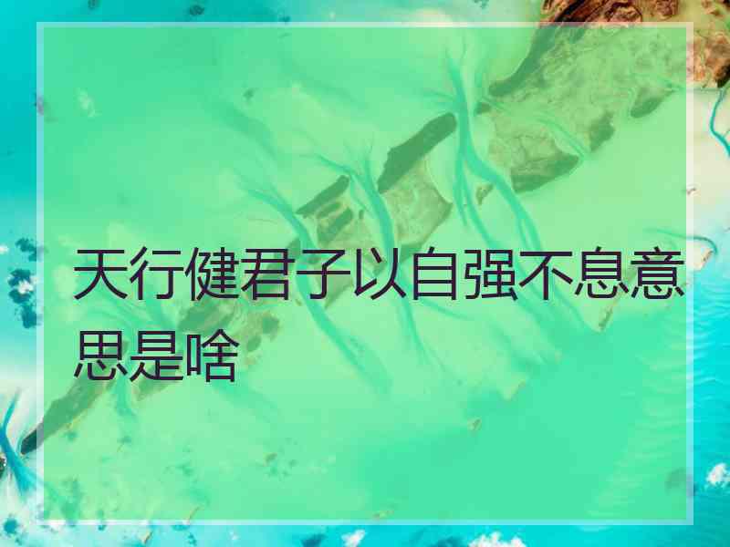 天行健君子以自强不息意思是啥