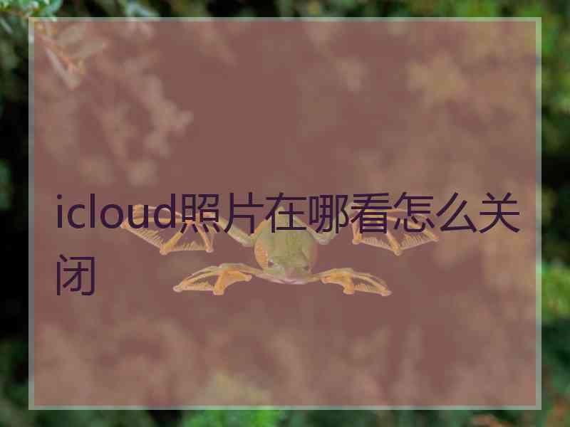 icloud照片在哪看怎么关闭