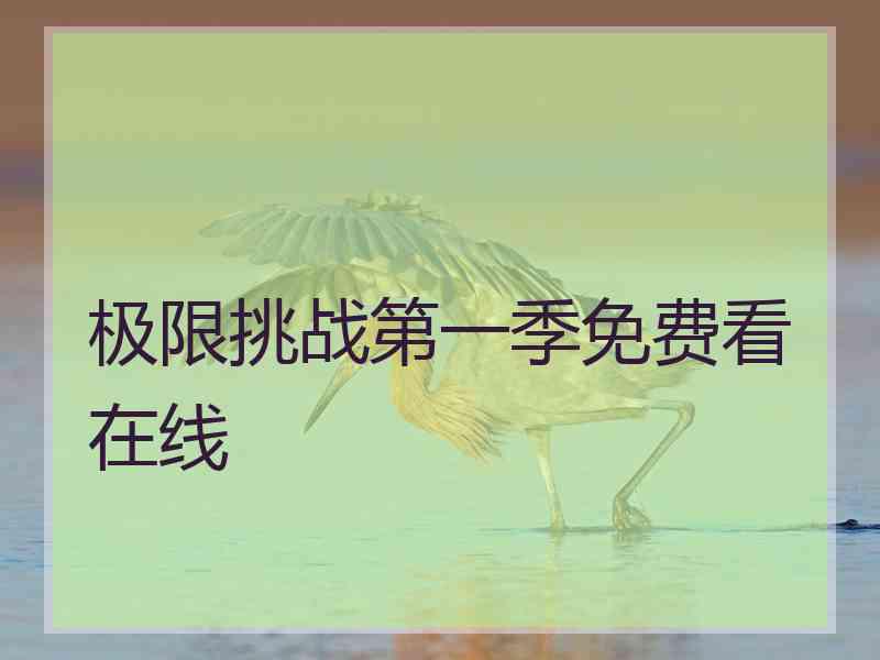 极限挑战第一季免费看在线