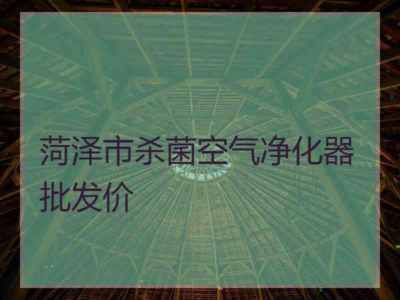 菏泽市杀菌空气净化器批发价