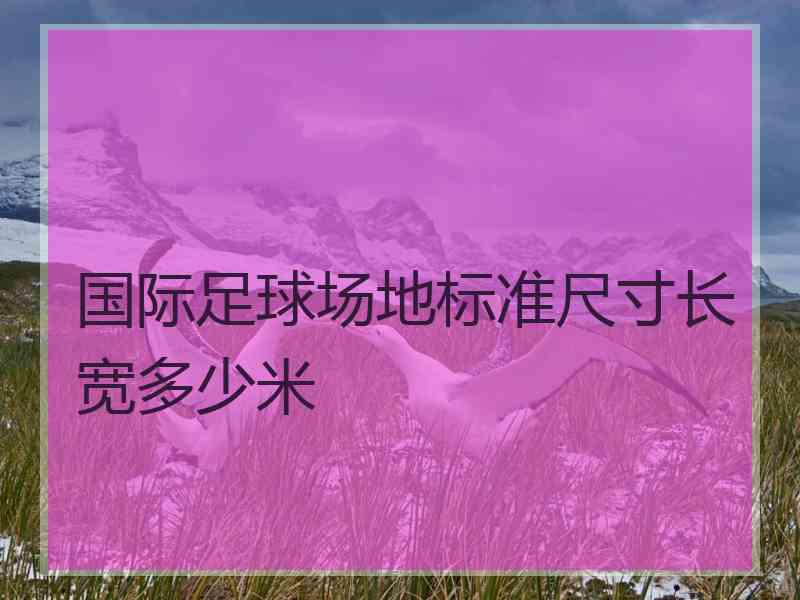 国际足球场地标准尺寸长宽多少米